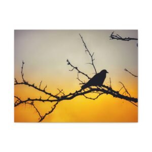 Crow on Orange Matte Canvas — Denver, Colorado