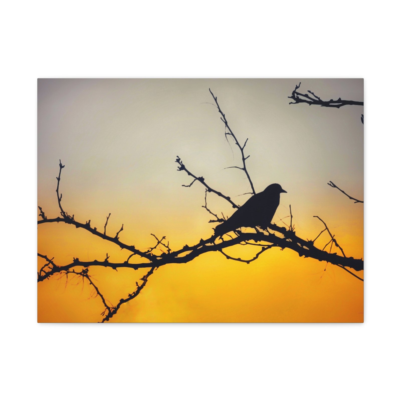 Sunset Silhouette Bird Matte Canvas - Image 13