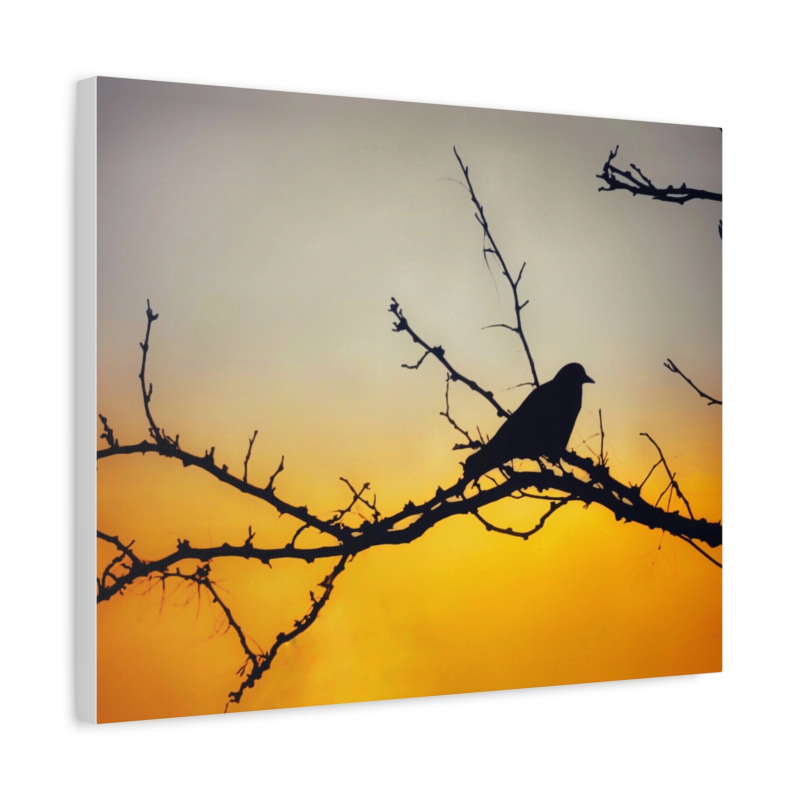 Sunset Silhouette Bird Matte Canvas - Image 10