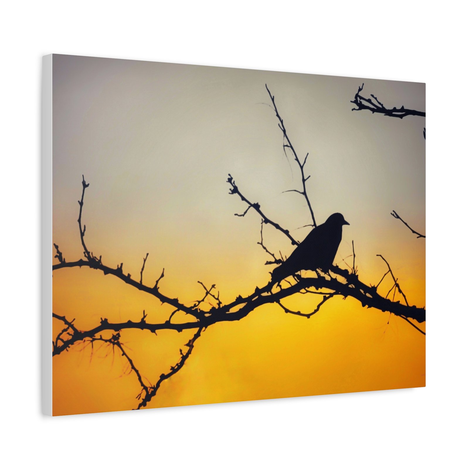 Sunset Silhouette Bird Matte Canvas - Image 14