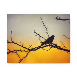 Sunset Silhouette Bird Matte Canvas