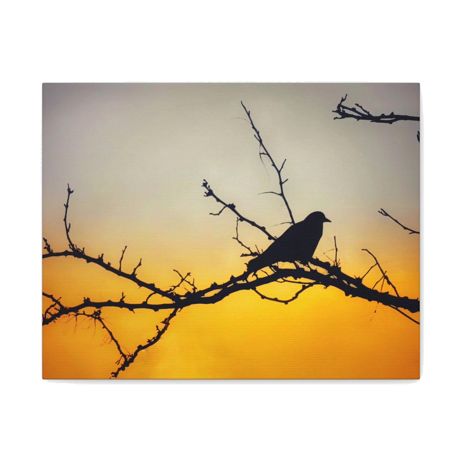 Sunset Silhouette Bird Matte Canvas