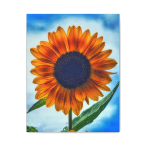 Sunflower Canvas Wall Art — Vibrant Orange Sunflower Matte Stretched Print