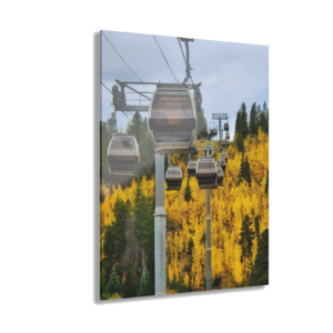 Acrylic Print - Gondolas Over Aspen Forest Photo (French Cleat Hanging)