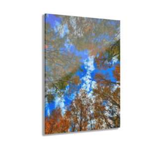 Acrylic Print — Colorado Flag Abstract Oil Bubble Art (French Cleat Hanging)