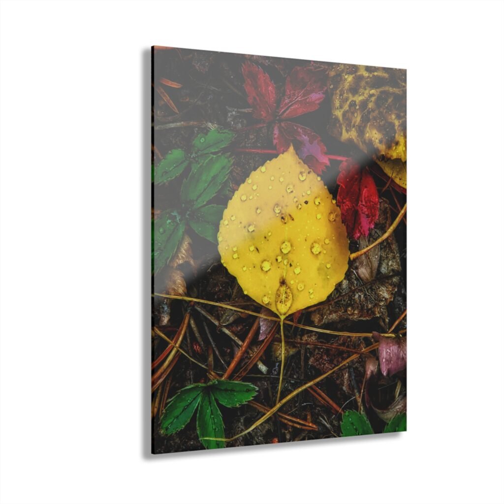 Autumn Dew on an Aspen Leaf Acrylic Print — Abyss Trail