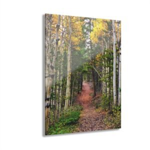 Autumn Aspen Trail Acrylic Print — Aspen, Colorado Wall Art