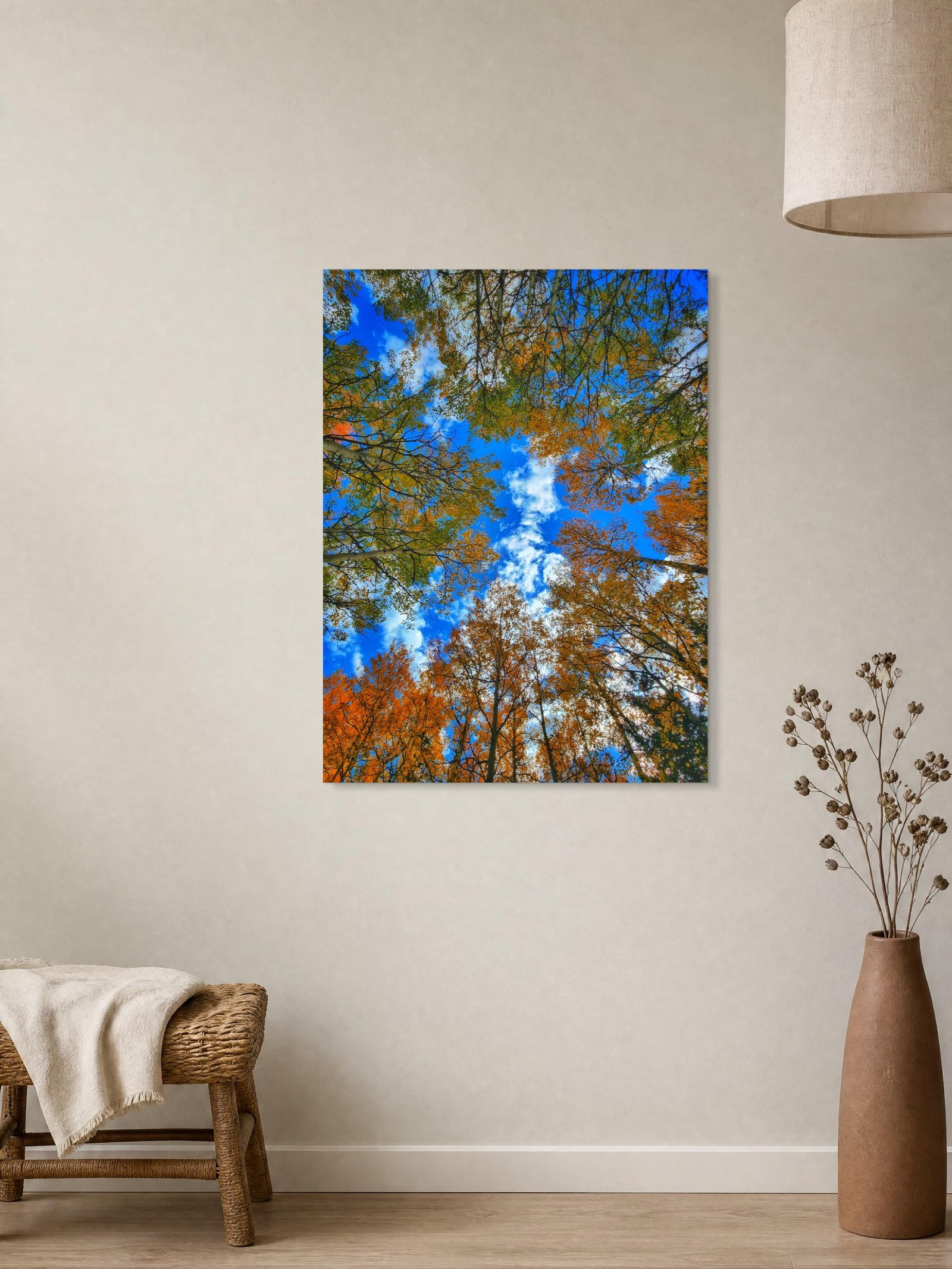 Aspen Upshot Acrylic Print — Guanella Pass Wall Art - Image 2