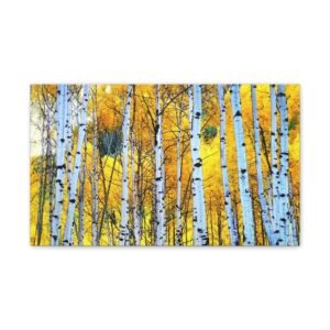 Colorado Trail Aspens