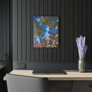 Aspen Upshot Acrylic Print — Guanella Pass Wall Art