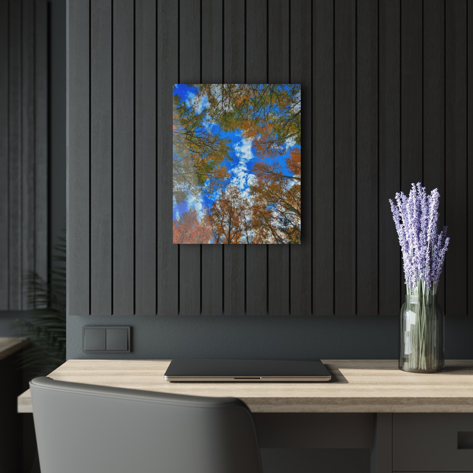 Aspen Upshot Acrylic Print — Guanella Pass Wall Art