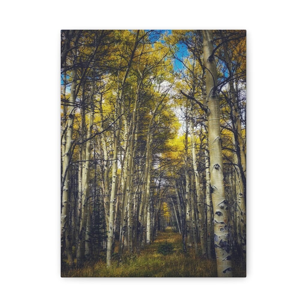 Among Giants - Boreas Pass