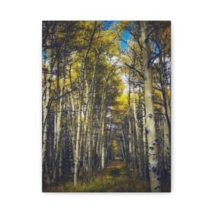 Among Giants - Boreas Pass