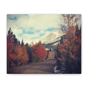 Mountain Road in Autumn Canvas Print — Boreas Pass, Colorado